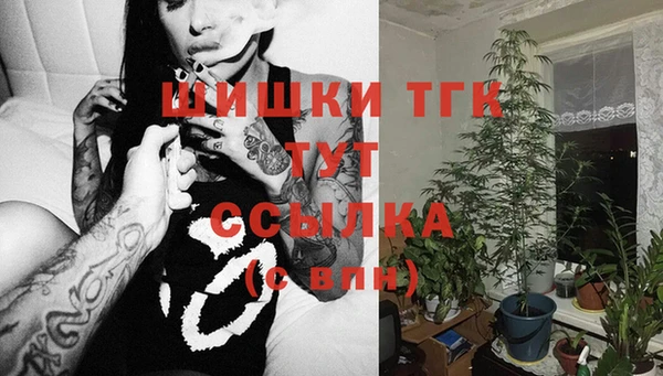 spice Волосово