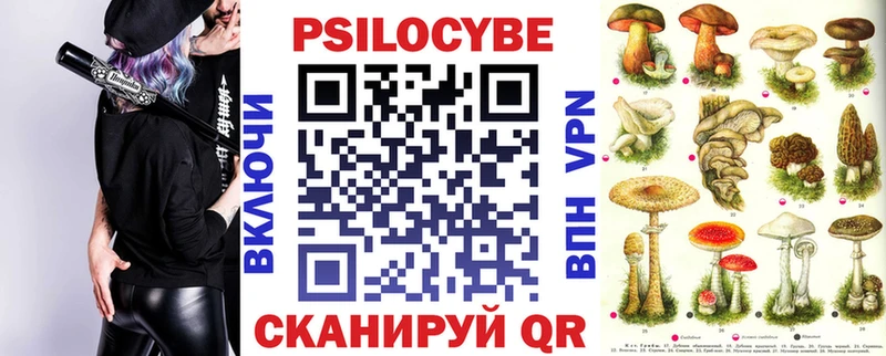 Псилоцибиновые грибы Psilocybine cubensis купить наркотики цена Выкса